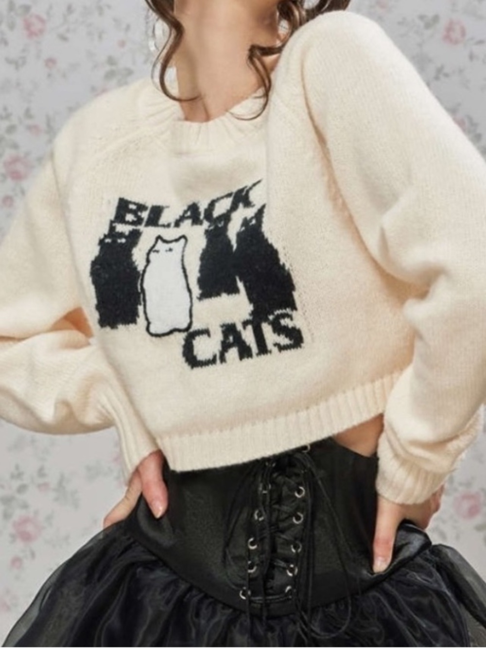 Cider cropped Cats' Graphic Sweater black cats Halloween design